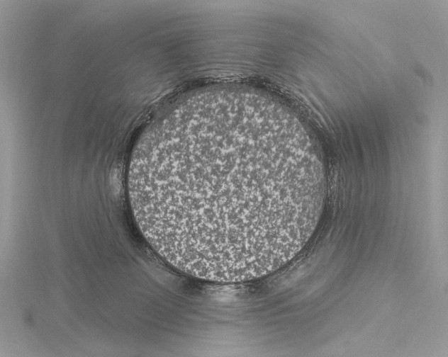 X0000115530131200912040958