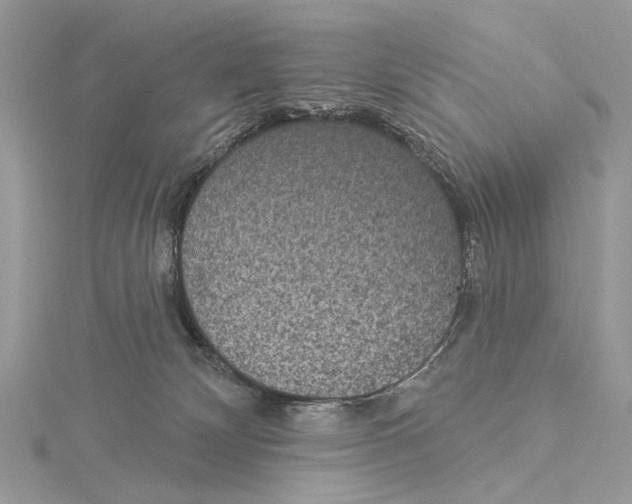 X0000115530132200912040958