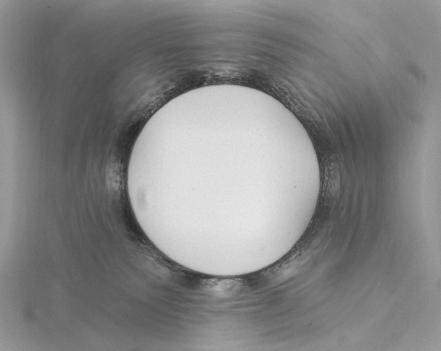 X0000115530135200912040958