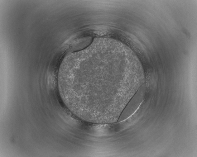 X0000115530136200912040958