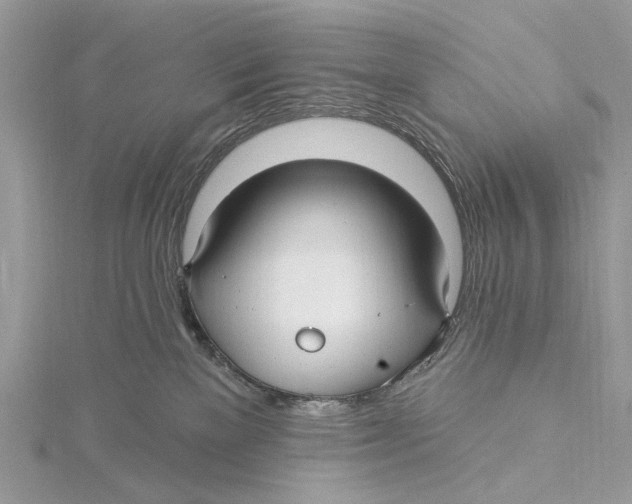 X0000115530137200912040958