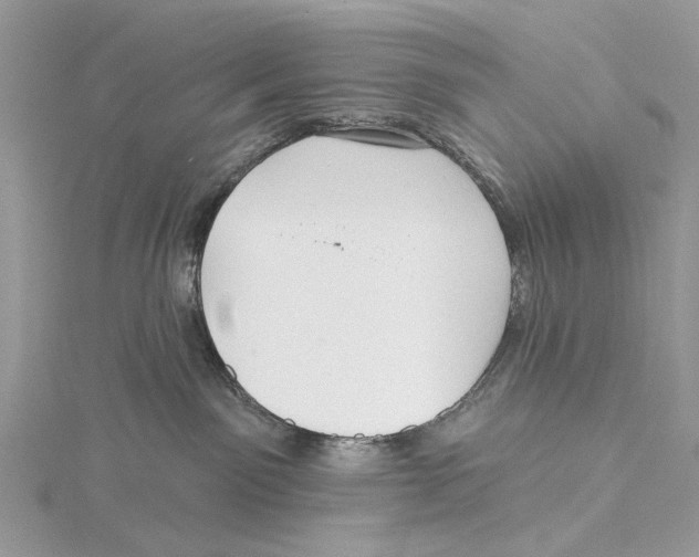 X0000115530141200912040958