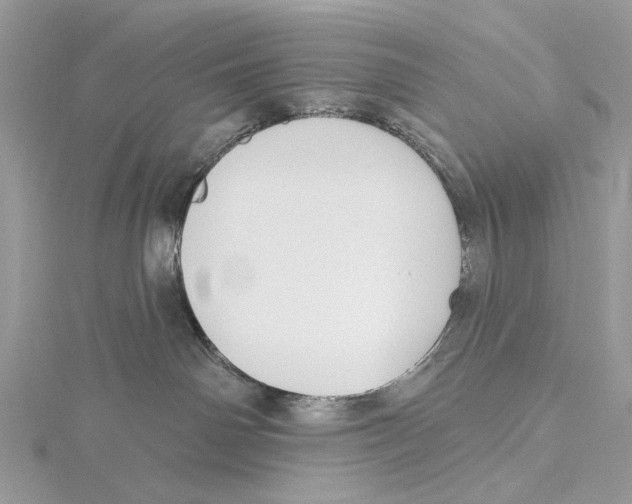 X0000115530142200912040958