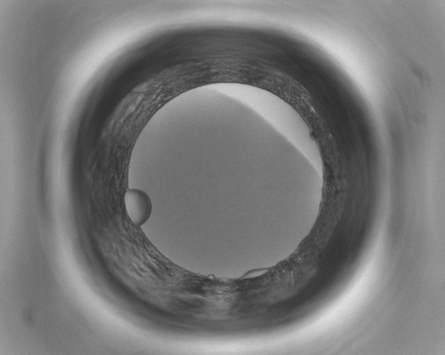 X0000115530143200912040958