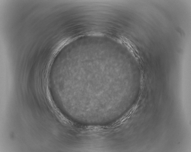 X0000115530145200912040957