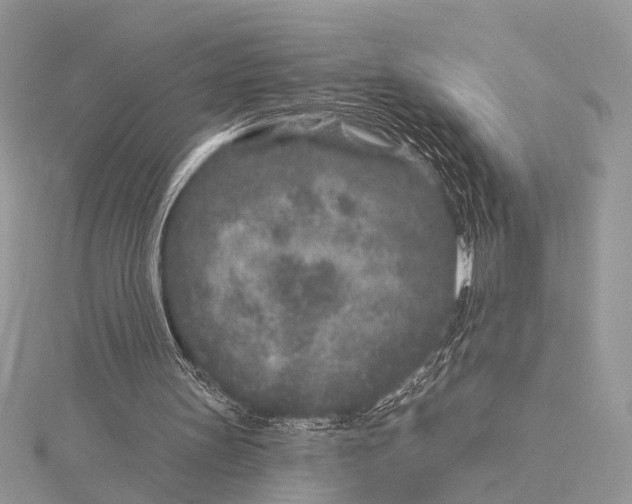 X0000115530147200912040957