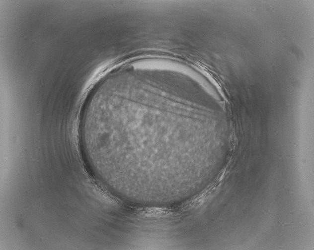 X0000115530151200912040957