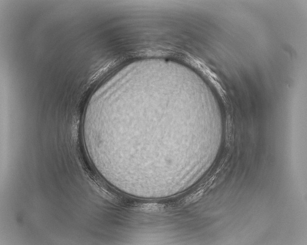 X0000115530153200912040957