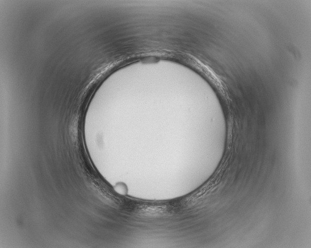 X0000115530155200912040957