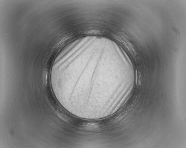 X0000115530157200912040957