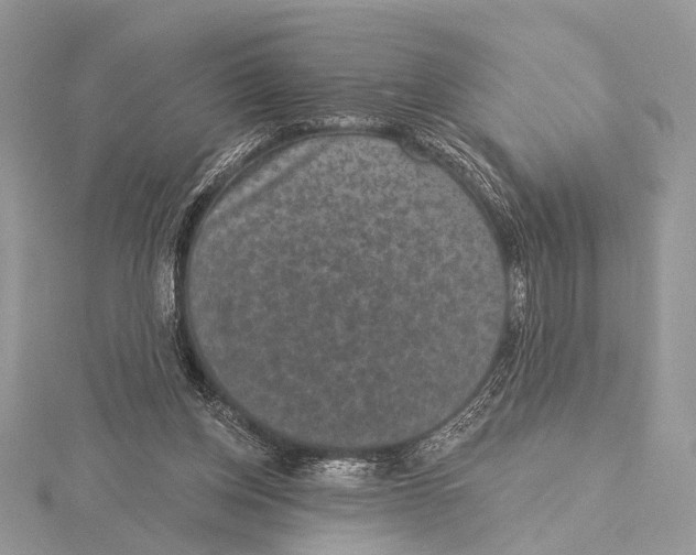 X0000115530158200912040957