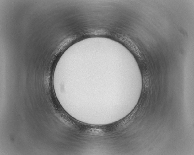 X0000115530159200912040957