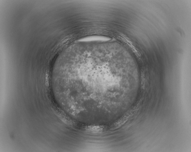 X0000115530161200912040957