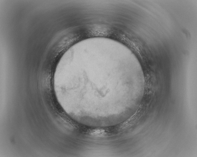 X0000115530162200912040957