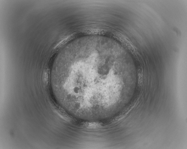 X0000115530165200912040957