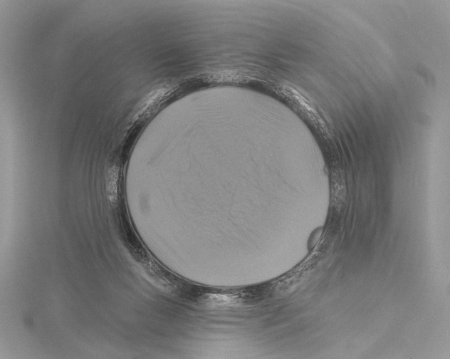 X0000115530167200912040957