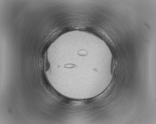 X0000115530170200912040957