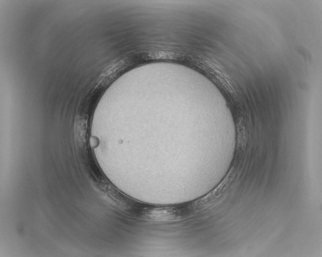 X0000115530171200912040957