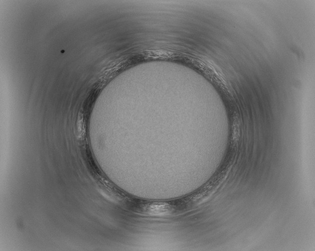 X0000115530173200912040957