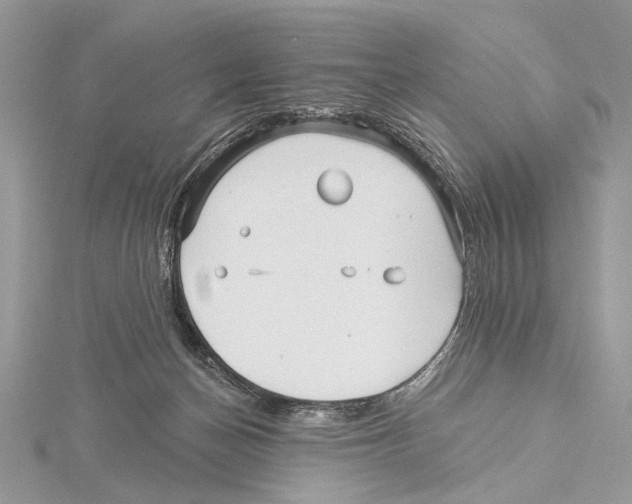 X0000115530174200912040957