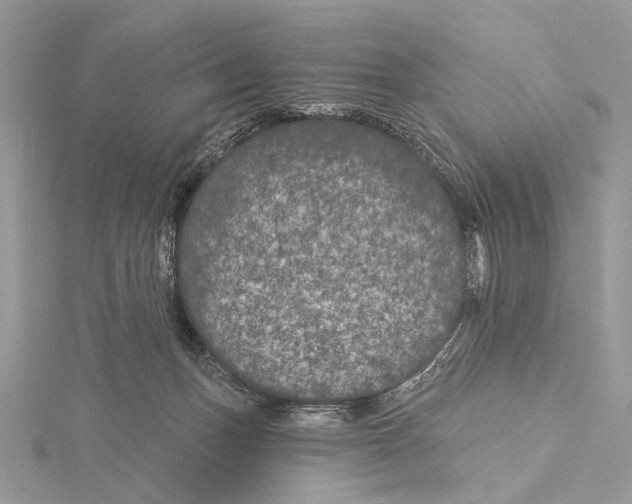 X0000115530175200912040957