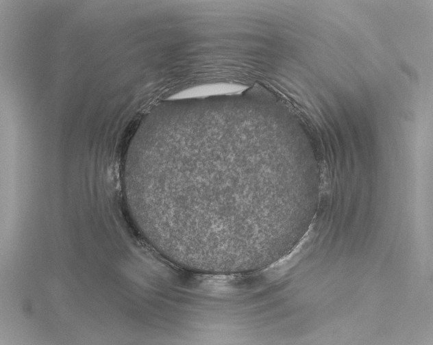 X0000115530182200912040957