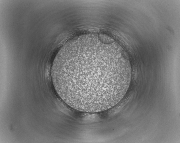 X0000115530185200912040957