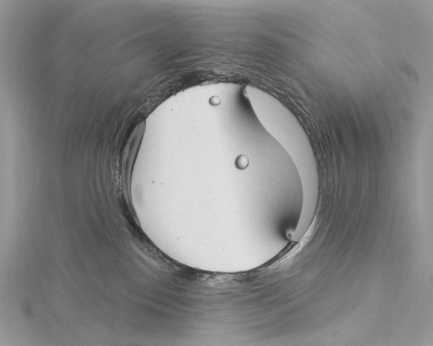 X0000115530186200912040957