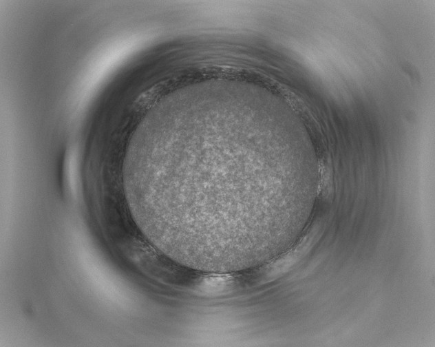 X0000115530189200912040957