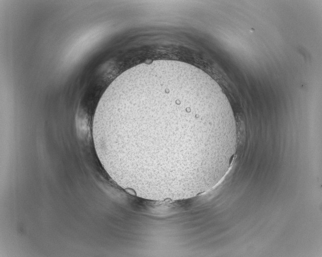 X0000115530191200912040957