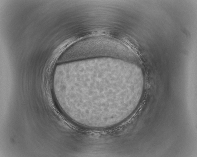 X0000115530193200912040957