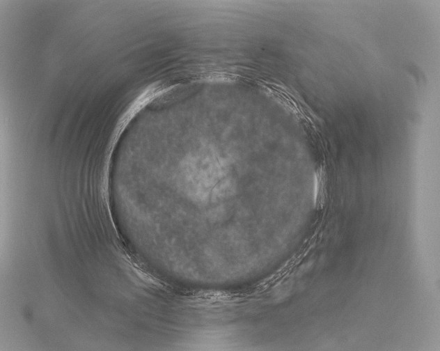 X0000115530195200912040957