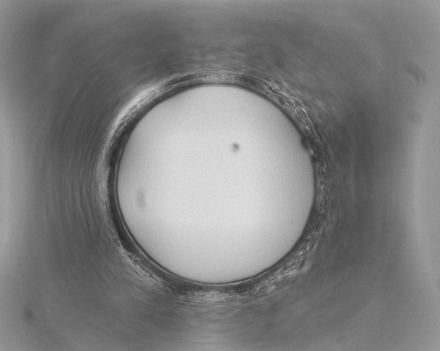 X0000115530197200912040957