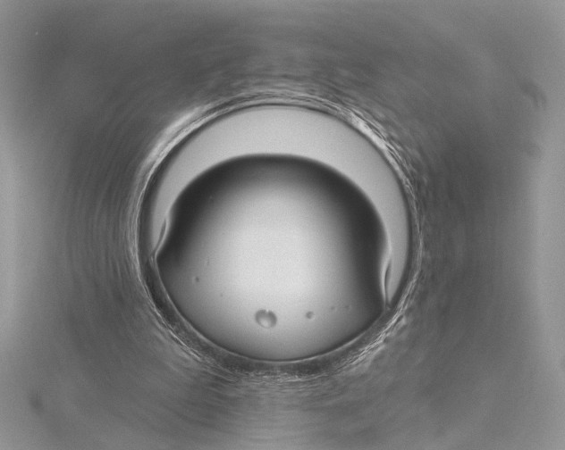 X0000115530199200912040957