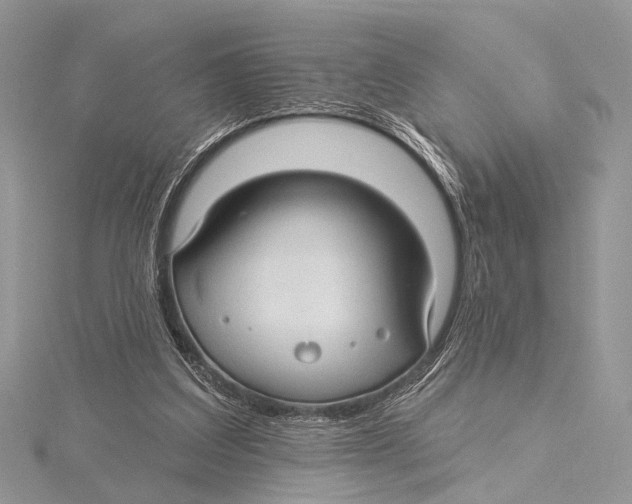 X0000115530203200912040957