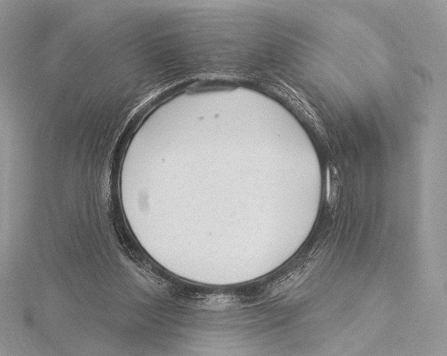 X0000115530204200912040957