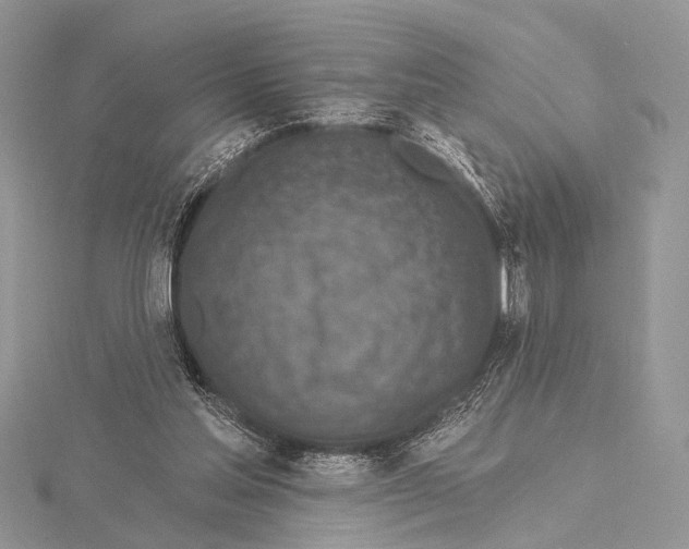 X0000115530205200912040957