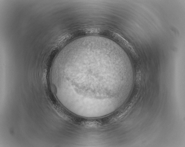 X0000115530209200912040957