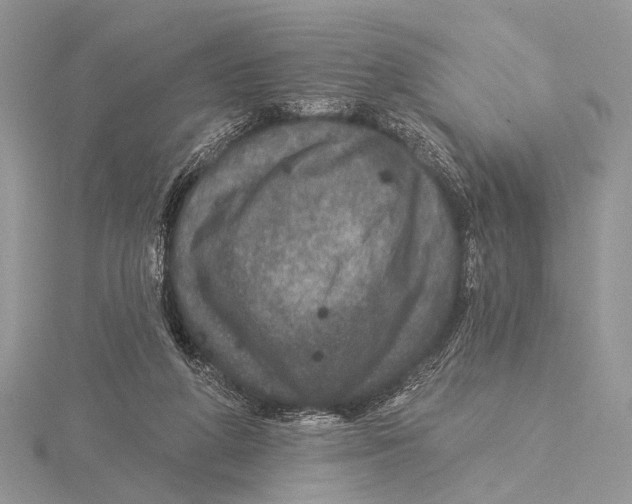 X0000115530210200912040957