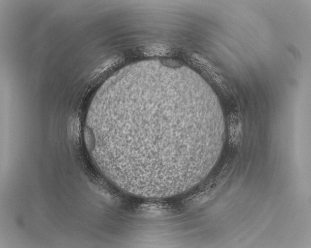 X0000115530211200912040957