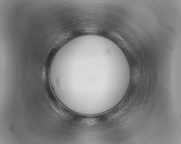 X0000115530213200912040957