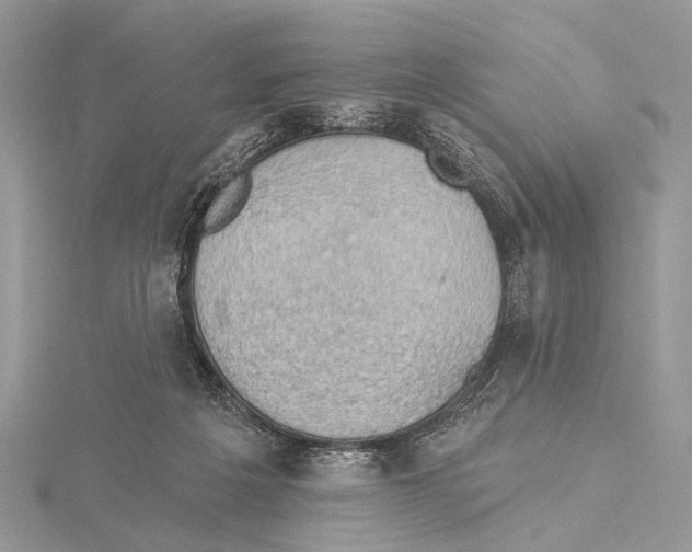 X0000115530217200912040957