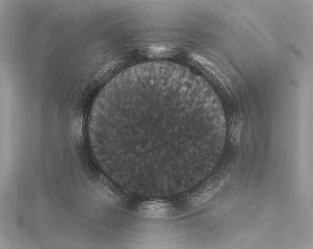 X0000115530219200912040957