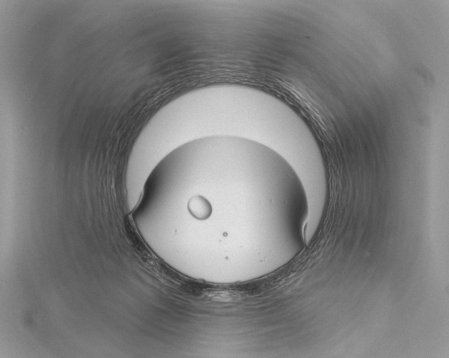 X0000115530221200912040957