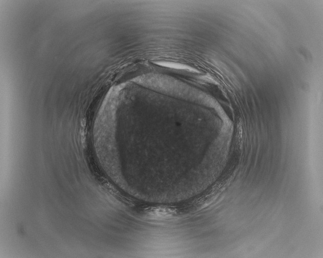 X0000115530223200912040956