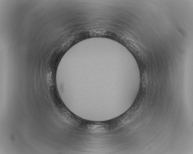 X0000115530224200912040956