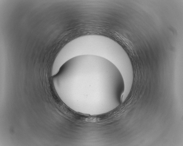 X0000115530225200912040956