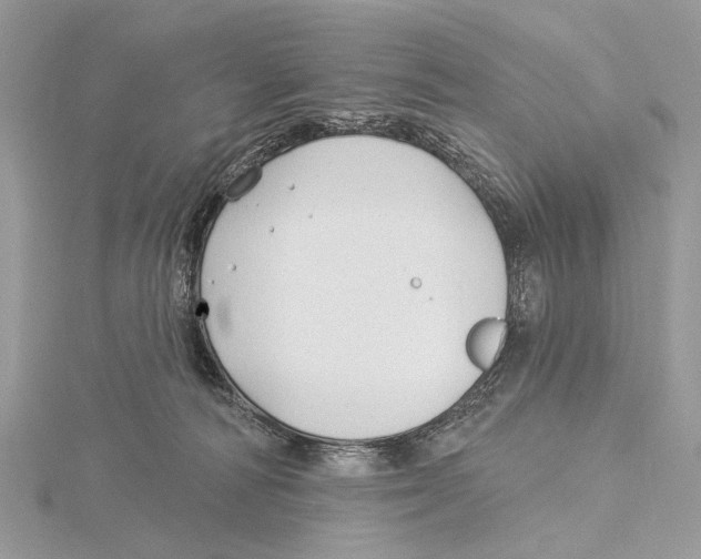 X0000115530226200912040956