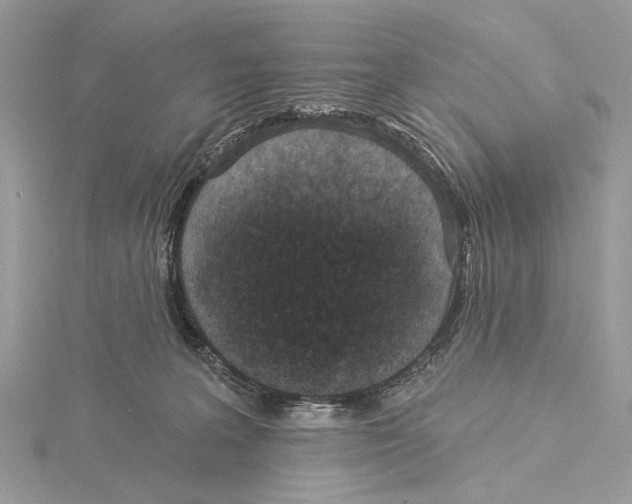 X0000115530227200912040956