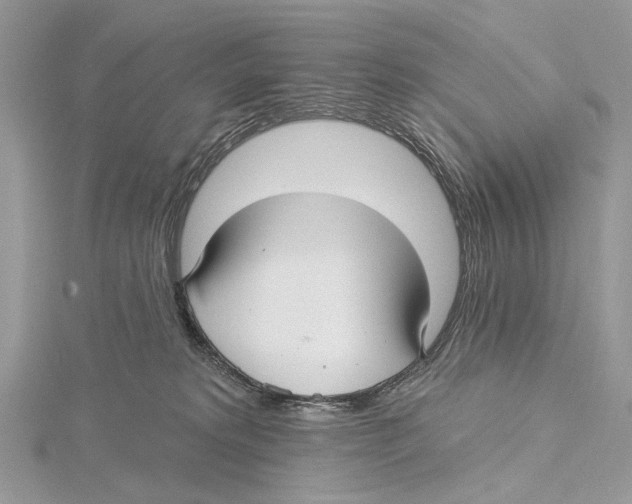 X0000115530229200912040956